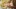 Love doll sex93.5 dh168 80cm shiori