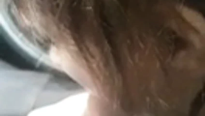 Balkan sürtük oral seks içinde araba