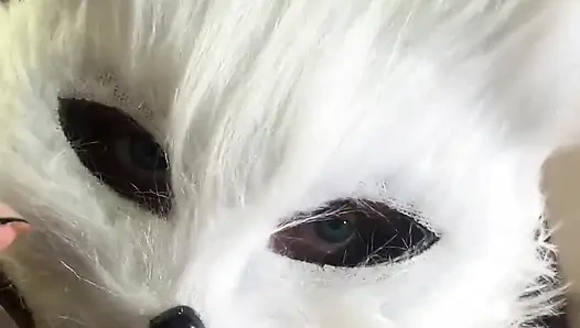 Today I'm a Naughty Kitten Who Wants Milk