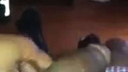 Siyah yarak