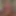 Toni Sex