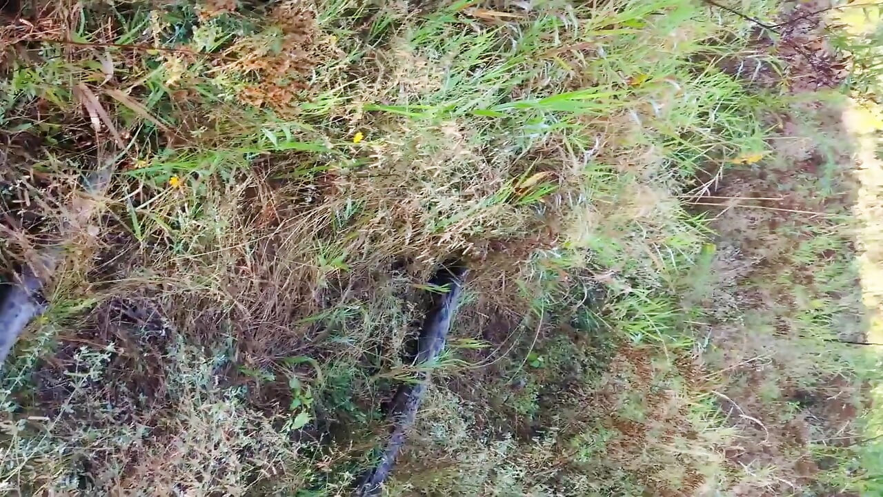 Enjoying Nature!