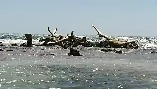 Dott Max al Caribe Sc 3 yaraksız anal seks