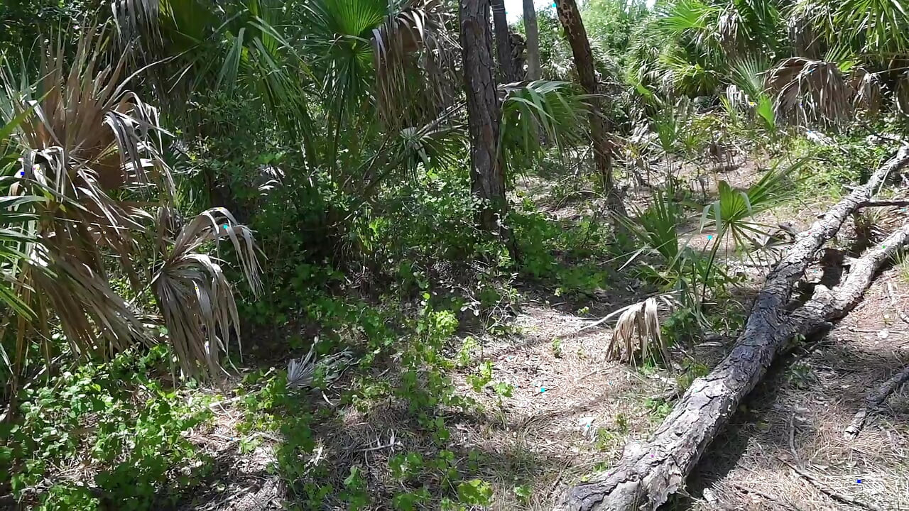 Bts Nature Walk e Masturbação na Trilha