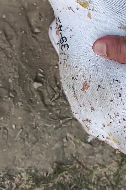 Making Socks Dirty in Slides - Used Socks and Slides and Uncut Soft Cock