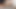 Sıcak seksi tavşan masturbates kedi ve sürmek yapay penis