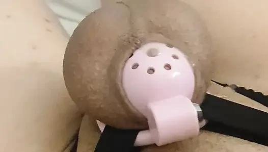 Kafese bağlı beta prejack başarısız nnn