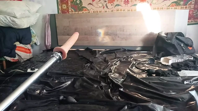 Playing with the car