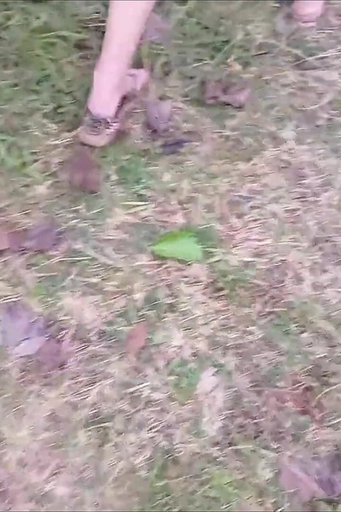 Wife Goes to the Park Without Panties to Show off!