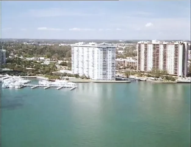 MIAMI SPICE 