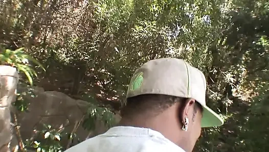 Tilki Her Şeyi Yiyor (Bölüm 2)