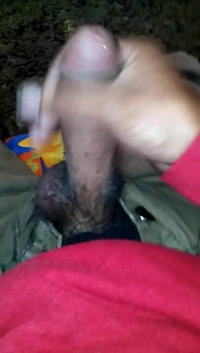 jalandomela verga