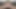 Tgirls.xxx：味わいたいアヴァ・ホルト