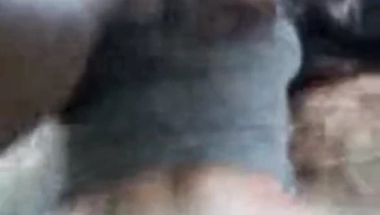 Развлечение