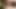 Sexy MILF von einem großen schwarzen schwanz befriedigt