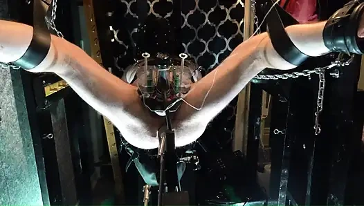 Electro Venus Cock Milking and Machine Fuck in the Leather Sling