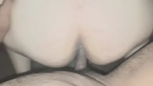 of a puppy