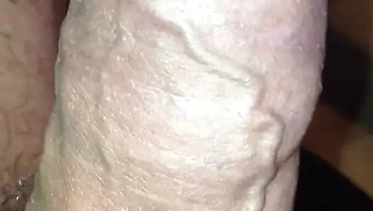 damarlı horoz