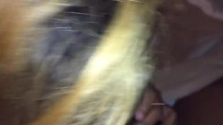 Канадская индийка сосет черный хуй в отеле