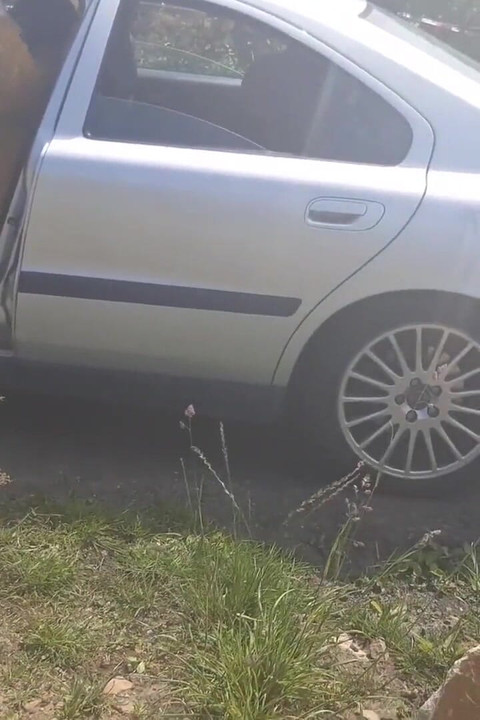 ทําให้หุ่นอ้วนของกูเดินที่จุดสวย