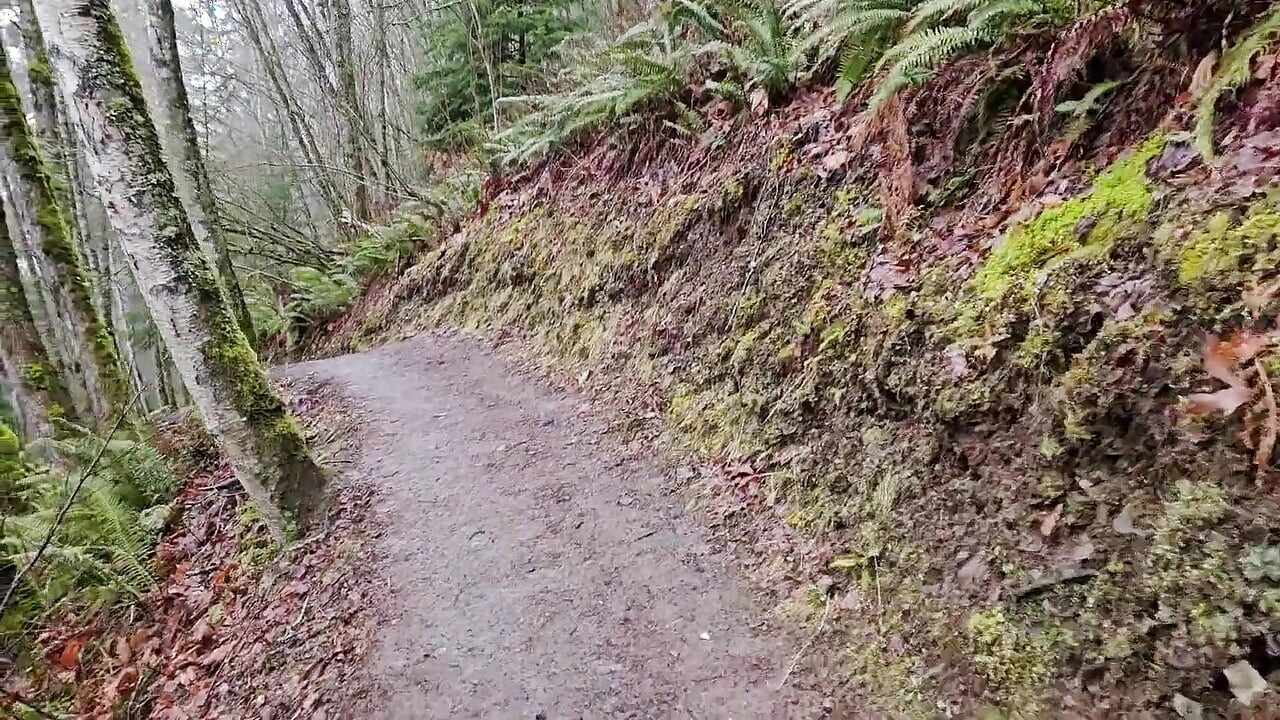 Caminata N-mear En Un Día Lluvioso
