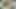 Beautiful cousin, come and try this big cock! - Porn in Spanish
