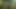 Do you know that I like going to the woods?