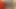 Lieferung endet in einem Bisex-Dreier