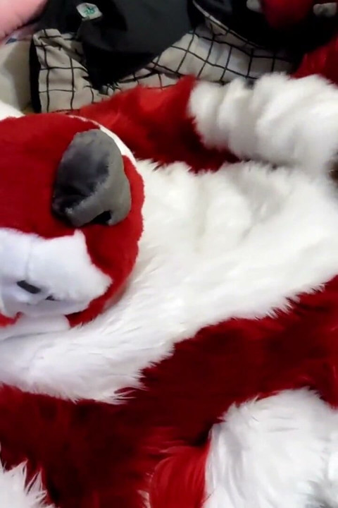 Jerking off and Showing Footpaws in Full-body Fursuit