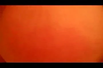 Debela kucka kurvetina