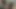 Amateur Transvestite Threesome