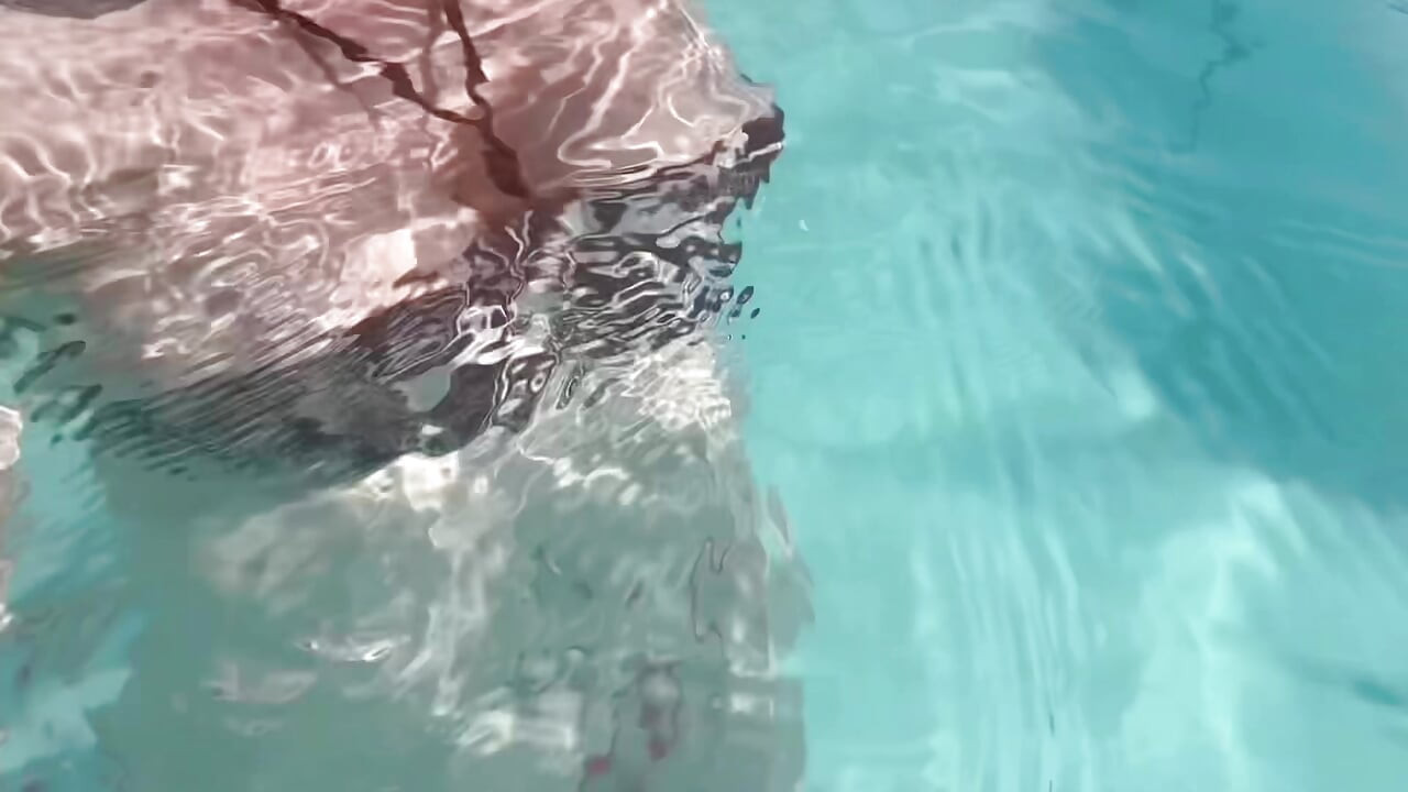 Artemisia seksi bikini giymen için su altında sulu büyük göğüslerini teşhir ediyor
