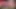 I had a dick full of cum to put in your ass, mouth or pussy. I love cumming like this and I know you would really like t
