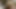 3D LESBIAN ASS LICKING GIRLFRIENDS