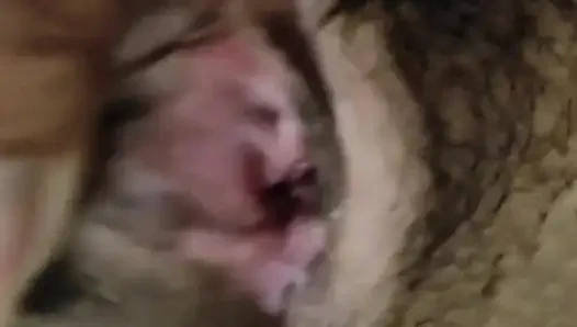 Es ist eine gute idee, deine eltern dazu zu bringen, dich anzurufen