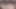 genç sevimli güzel webcam transeksüel travestileri