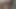Wife dirty talking and handjob the small penis of the cuckold
