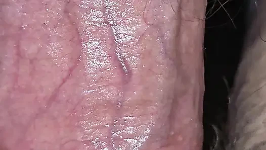 Istri nakal ini lagi asik nyepong dan ngentot kontol besarku