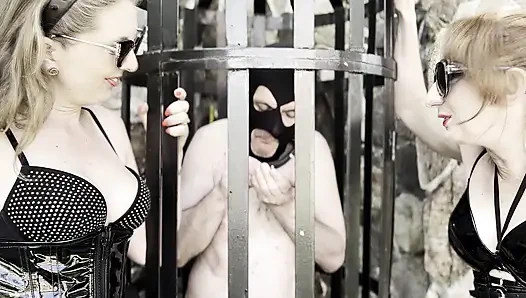 Meine initialen in der haut des masochisten sengen