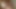 巨乳タイ人ヤリマンがバーツのために上司をフェラ