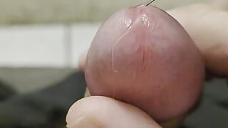 Pre cum and cum