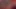 Granny's Christmas Eat & Fuck Orgasm 11232022 C3