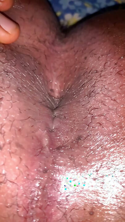 블랙 버시