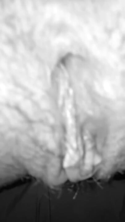 She Takes Dick Like A Champ