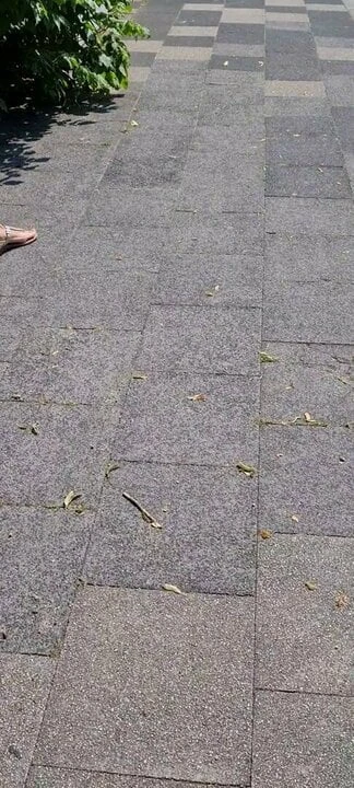 Sexy feet