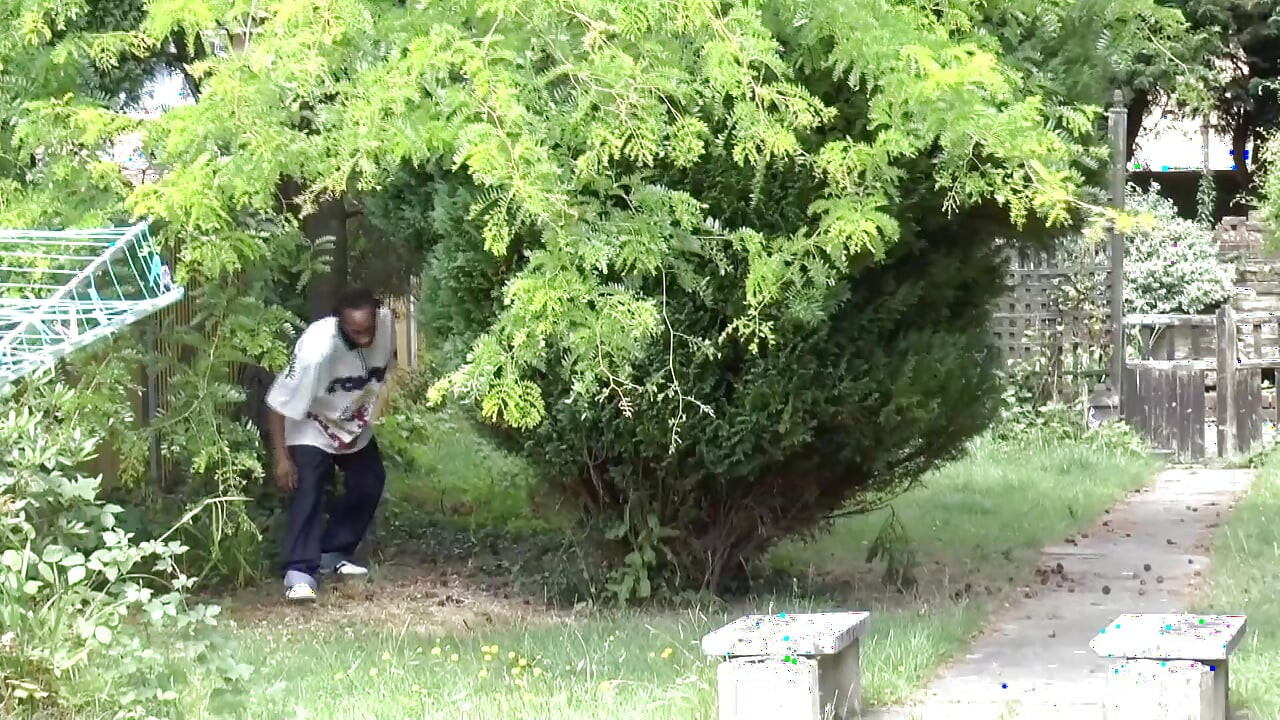 Amukan template coli - pesta seks