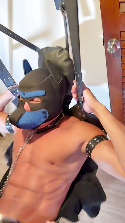 Mi Hermano Y Yo Decidimos Que Este Perro Se Merecía Tomar Nuestras Pollas a La Vez.
