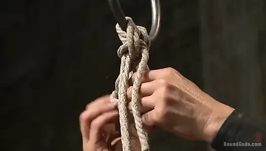 Mutlu bir inek misin yoksa üzgün bir inek mi? - Canlı Gösteri