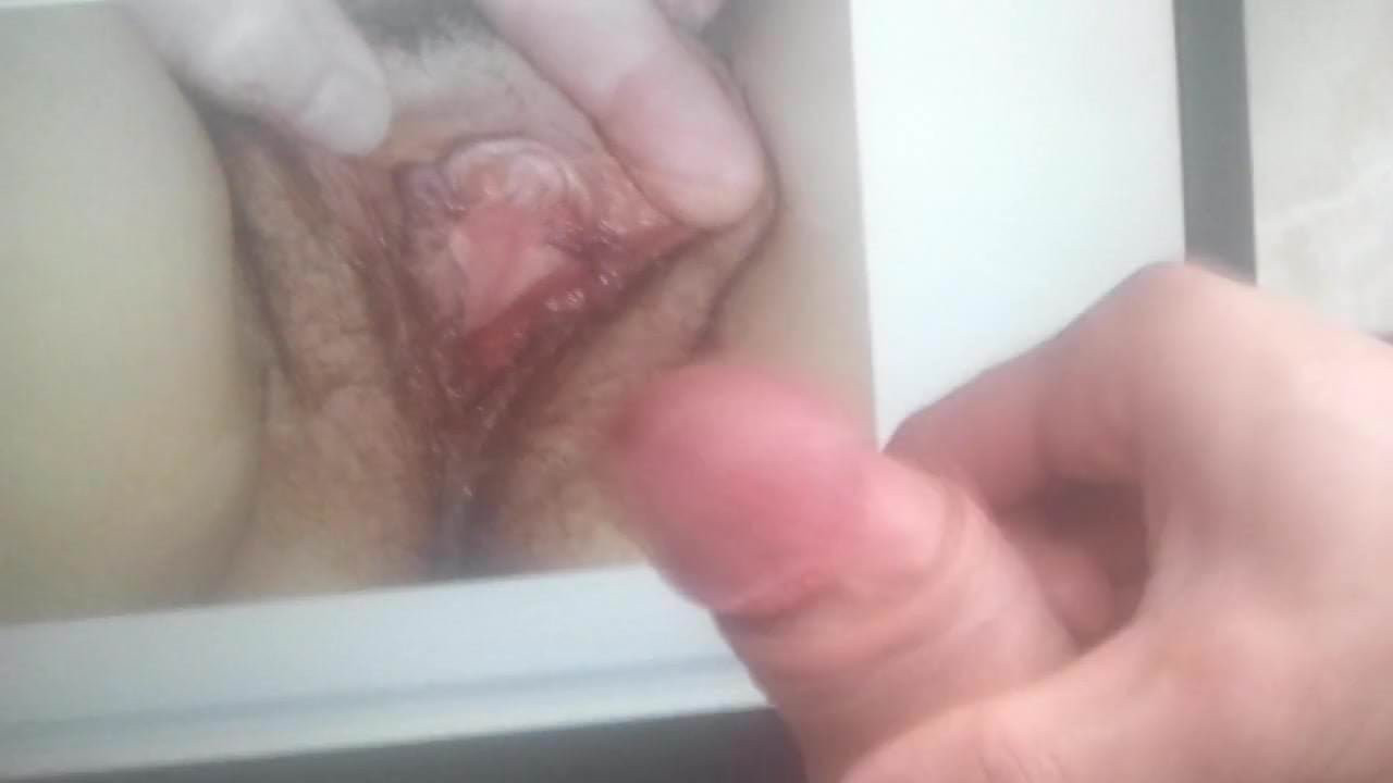 Pocta canardo57