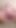 Must-see moment from "Pregnant babe removes her clothes and sucks dick before she"